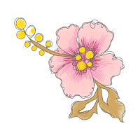 Prairie Rose Flowers Prairie Rose Flowers