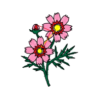 Prairie Rose Flowers