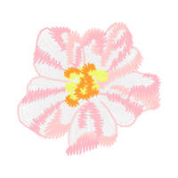 Prairie Rose Flowers