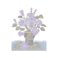 Purple Flowers Purple Flowers