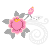 Purple Passionflower Flowers