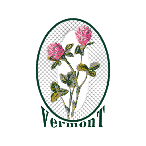 Red Clover Flowers Red Clover Flowers