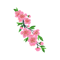 Rosa Glauca Flowers Rosa Glauca Flowers