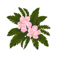 Rosa Glauca Flowers Rosa Glauca Flowers