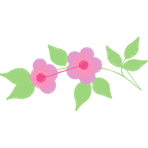 Rosa Glauca Flowers Rosa Glauca Flowers