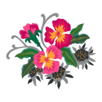 Rosa Glauca Flowers Rosa Glauca Flowers