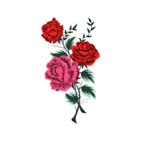 Rosa Glauca Flowers Rosa Glauca Flowers