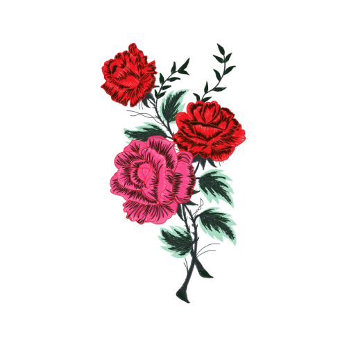 Rosa Glauca Flowers Rosa Glauca Flowers