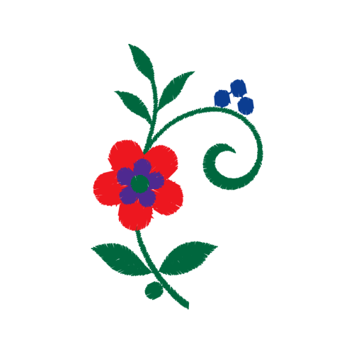 Rosa Glauca Flowers Rosa Glauca Flowers