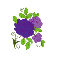 Rose Flowers Rose Flowers