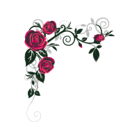 Rose Flowers Rose Flowers