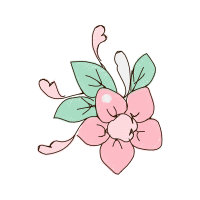 Sasanqua Camellia Flowers