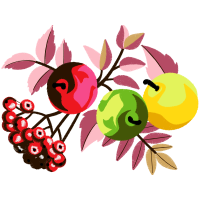 Seedless Fruit Flowers