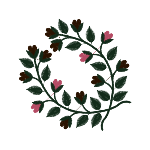 Shameplant Flowers Shameplant Flowers