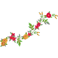 Shining Rose Flowers