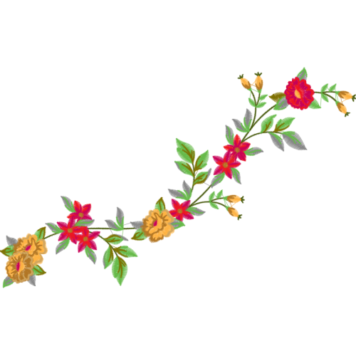 Shining Rose Flowers Shining Rose Flowers