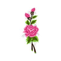 Sketch Flowers Sketch Flowers