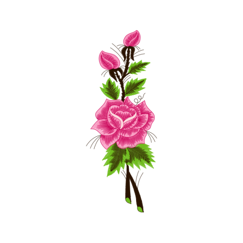 Sketch Flowers Sketch Flowers