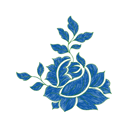 Stonecrops Flowers Stonecrops Flowers