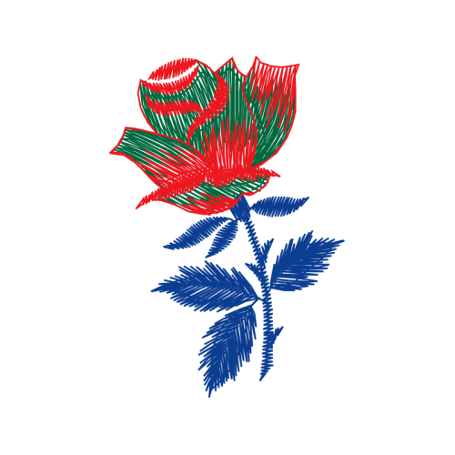 Sugarbushes Flowers Sugarbushes Flowers