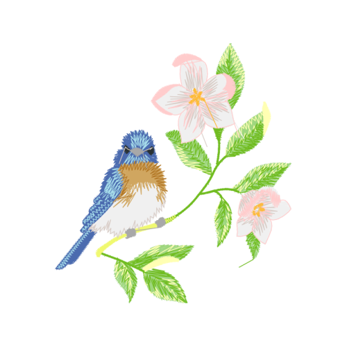 Swamp Rose Flowers Swamp Rose Flowers