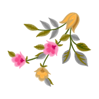 Swamp Rose Flowers Swamp Rose Flowers