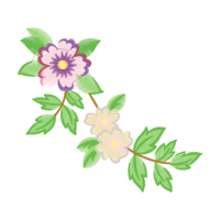 Swamp Rose Flowers Swamp Rose Flowers