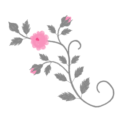 Swamp Rose Flowers Swamp Rose Flowers