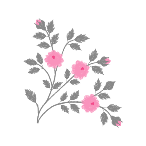 Swamp Rose Flowers Swamp Rose Flowers