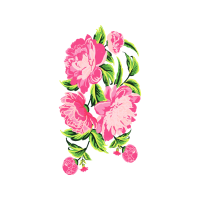 Touch Me Not Flowers Touch Me Not Flowers