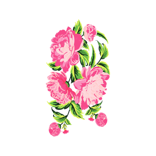 Touch Me Not Flowers Touch Me Not Flowers