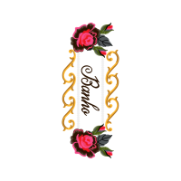 Transvaal Daisy Flowers