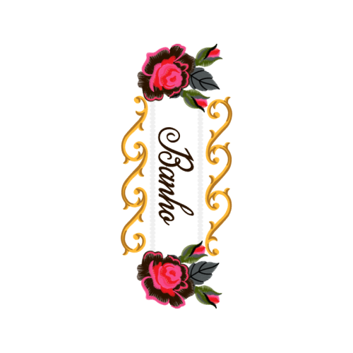 Transvaal Daisy Flowers Transvaal Daisy Flowers