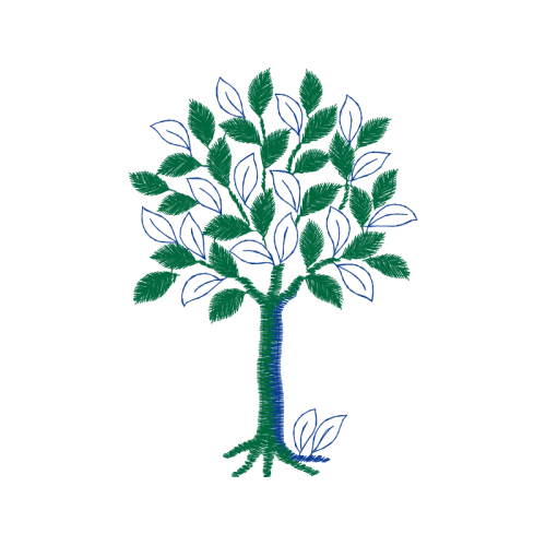 Tuberose Flowers Tuberose Flowers