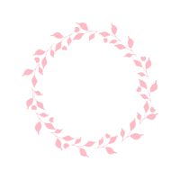 Tulip Flowers Tulip Flowers