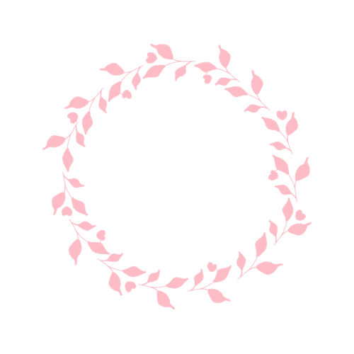 Tulip Flowers Tulip Flowers