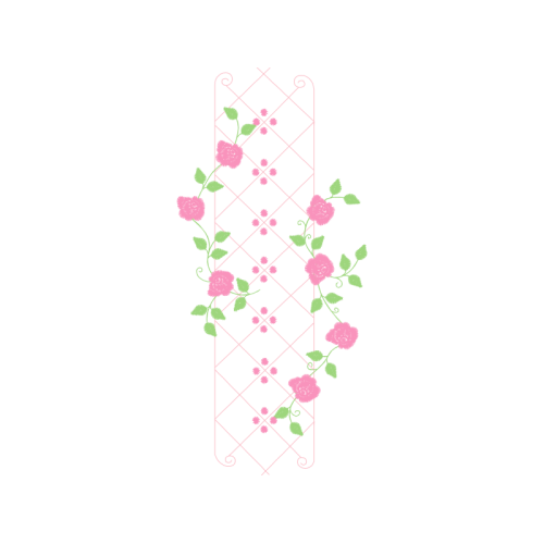 Vervain Flowers Vervain Flowers