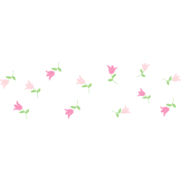 Vervain Flowers Vervain Flowers