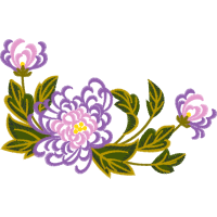 Virginia Rose Flowers Virginia Rose Flowers