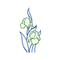 Visual Arts Flowers Visual Arts Flowers