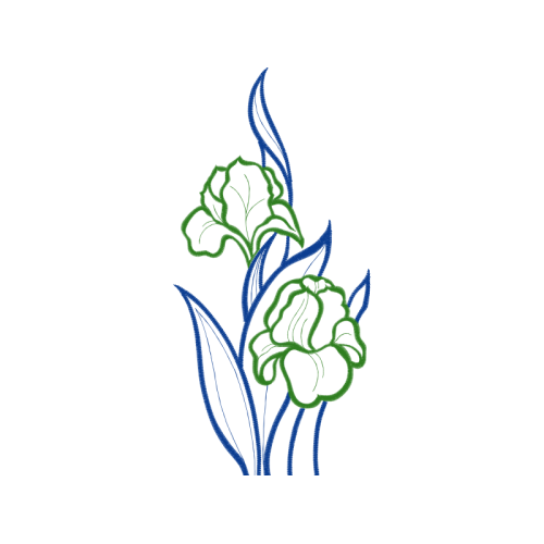 Visual Arts Flowers Visual Arts Flowers