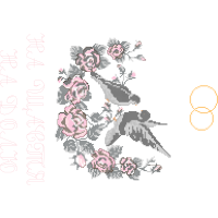 Visual Arts Flowers Visual Arts Flowers