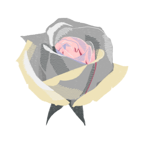 Visual Arts Flowers Visual Arts Flowers