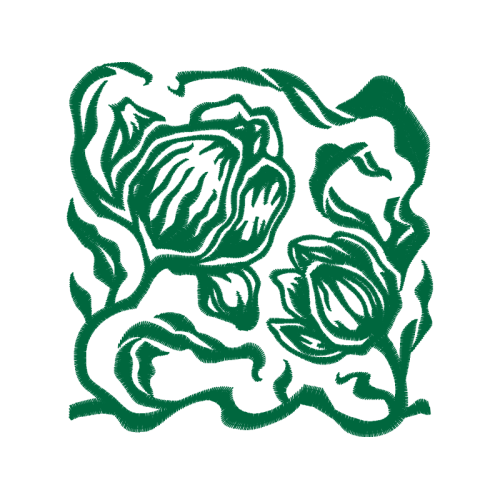 Visual Arts Flowers Visual Arts Flowers