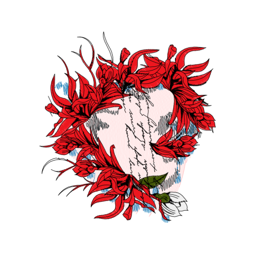 Visual Arts Flowers Visual Arts Flowers