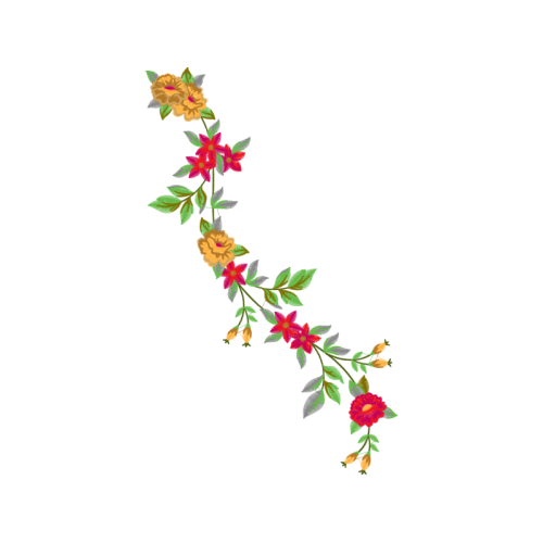 Woods Rose Flowers Woods Rose Flowers