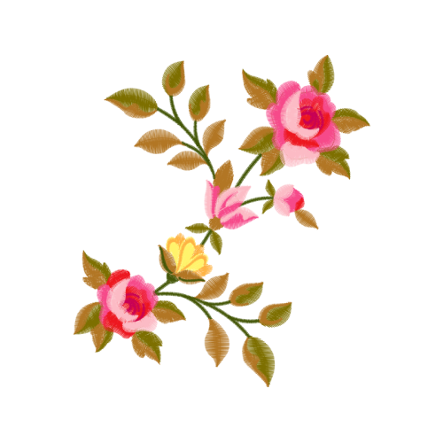 Woods Rose Flowers Woods Rose Flowers