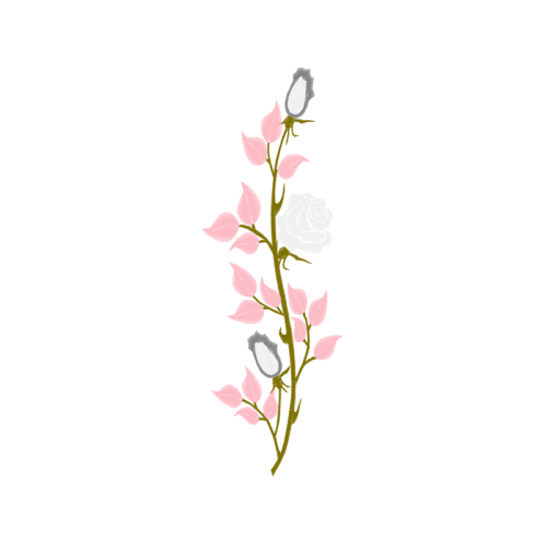 Woods Rose Flowers Woods Rose Flowers