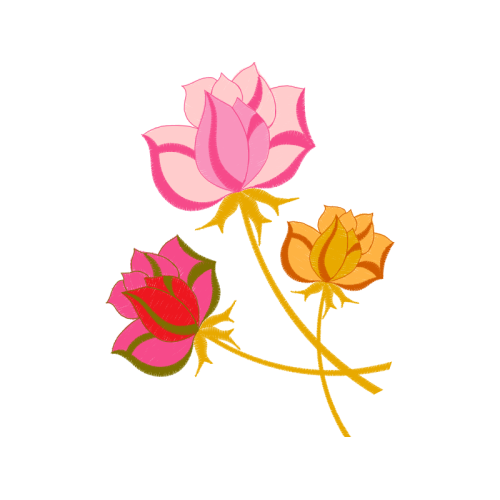 Woods Rose Flowers Woods Rose Flowers