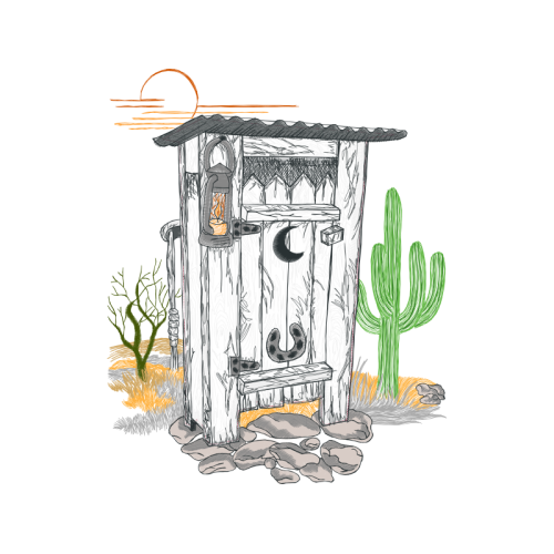 Cactus Flowers Cactus Flowers